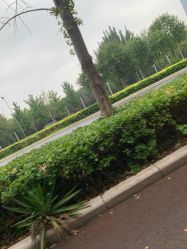 -HEYAN长风荷妍专业脱毛美肤
