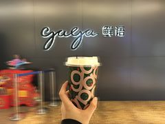 -gaga(深圳南山益田假日广场店)