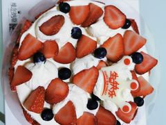 -维尔纳斯·生日蛋糕·动物奶油冰淇淋蛋糕(六里桥店)