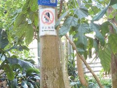 -南山植物园