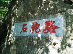 -阳台山自然风景区