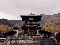 -大唐贡茶院