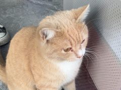 -弋车人洗美·维修·保养(三林店)