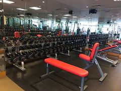 -健身专家Wellness Experts