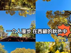 -罗布林卡