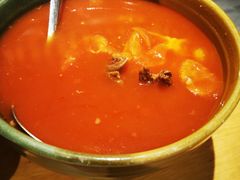番茄牛尾汤-曾牛肉