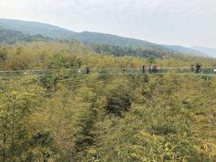 -陶祖圣境风景区