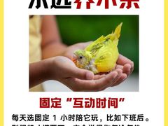 -爱侣宠医·鹦鹉专科·小型哺乳类·异宠专科(灵石路店)