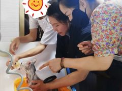 -喵汪宠物生活馆(涞坊路店)