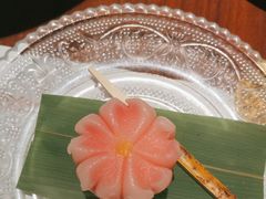 -觀芷隐轩