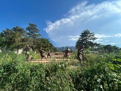 -秦始皇帝陵博物院-丽山园