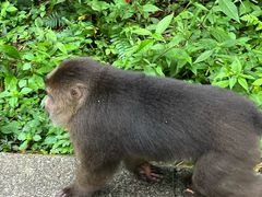-西岭雪山大飞水景区