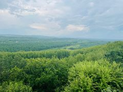 -塞罕坝国家级自然保护区