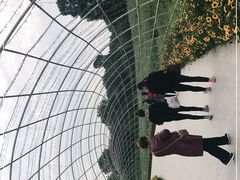-秀丽东方