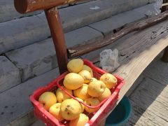 -雁门关景区