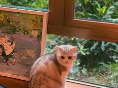 -咖法森林·咖啡  酒吧(天河店)