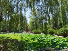 -金湖港式餐厅(建外店)