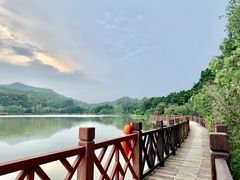 -番禺大夫山森林公园
