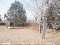 -李哥海鲜烧烤家常菜(孔雀城店)