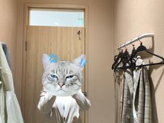 -hotwind热风(中贸广场店)