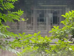 -舒羽咖啡(运河店)