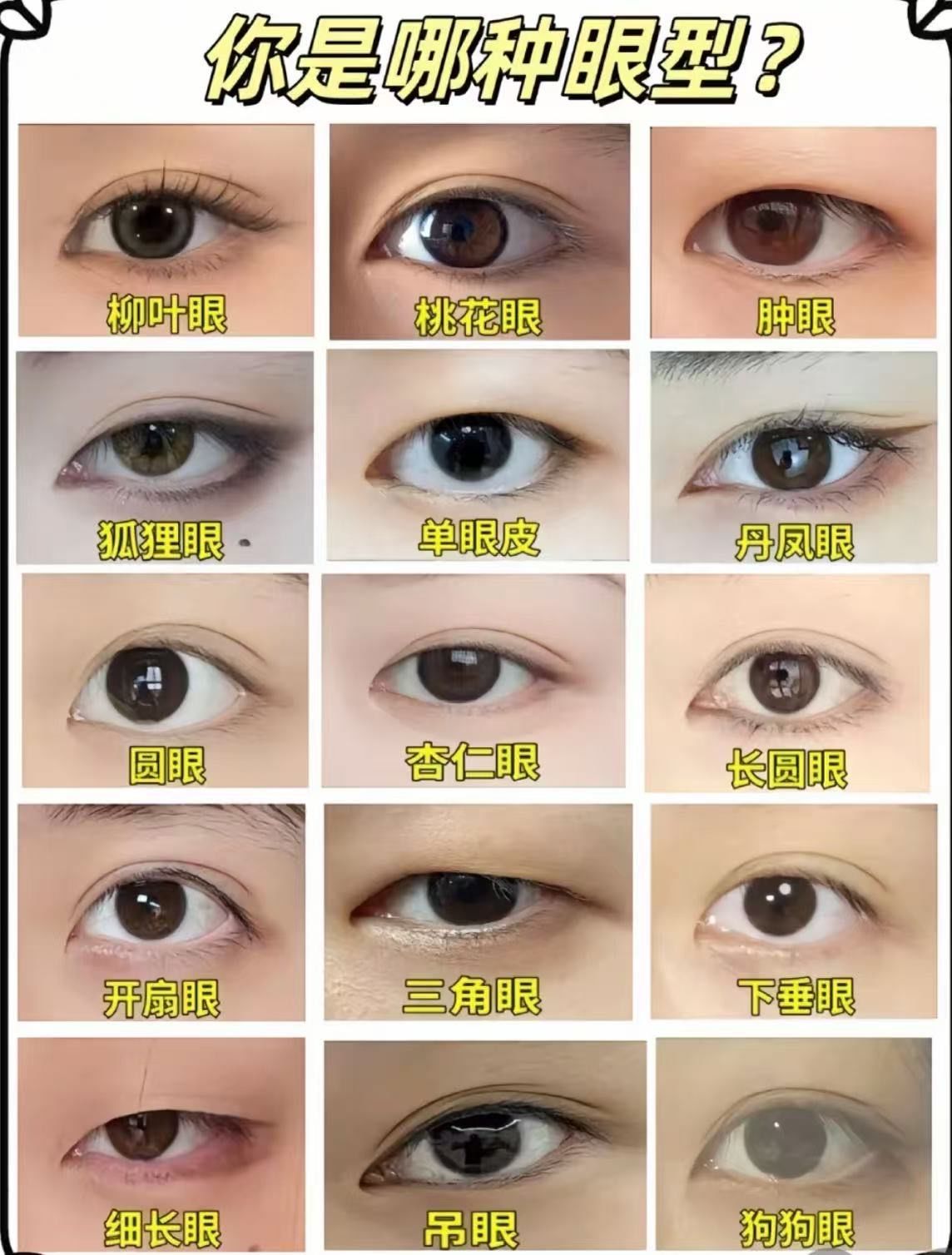 看看你是什么眼型[亲亲]感觉好看的都是双眼皮