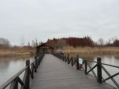 -溱湖国家湿地公园