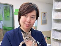 -爱侣宠医·鹦鹉专科·小型哺乳类·异宠专科(灵石路店)