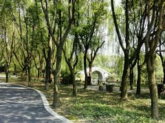 风花雪月-浦江之首