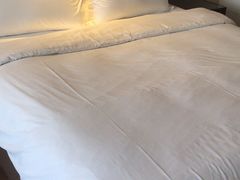 -上海北方智选假日酒店