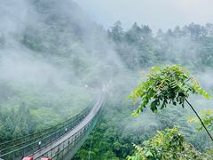 -娄山关景区