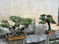 -朱家花园