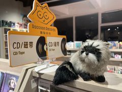 -浣熊唱片店(上海影城店)
