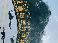 -西双版纳原始森林公园