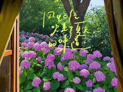 -上海滨江森林公园