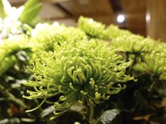 -春暖花开(西溪店)