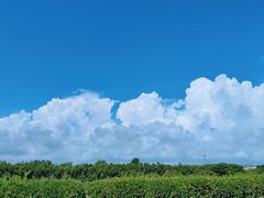 -日照海滨国家森林公园