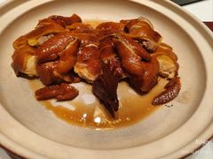 -侨美·唐荔园·40年地道粤菜