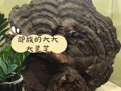 -台北101