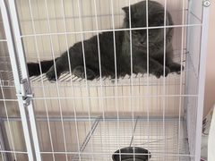 -奶油猫DIY·手工·团建·美陈搭建(宝山万达店)