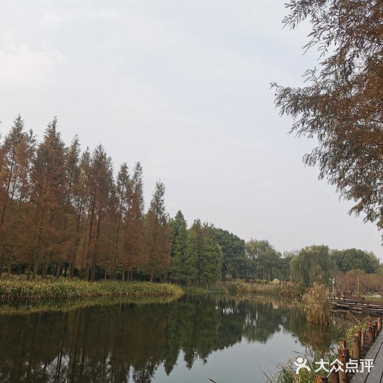 上海最不适合溜娃的公园[流泪]