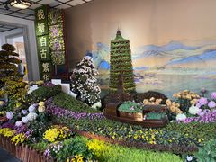 -杭州植物园
