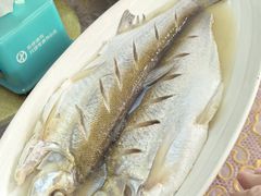 -芸海阁·农家私房菜(沙家浜景区出口店)