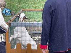 -潭柘厚院&山顶烤肉(潭柘寺店)