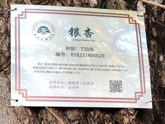 -大慈岩风景区