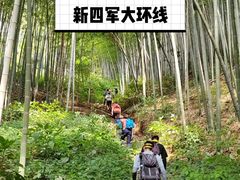 -四明山国家森林公园