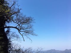 -塔云山