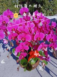 -Oasis Beauty水磨坊科技美肤中心