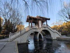 -团结湖公园