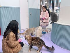 -1013 PET SHOP 宠物商店(近铁城市广场店)